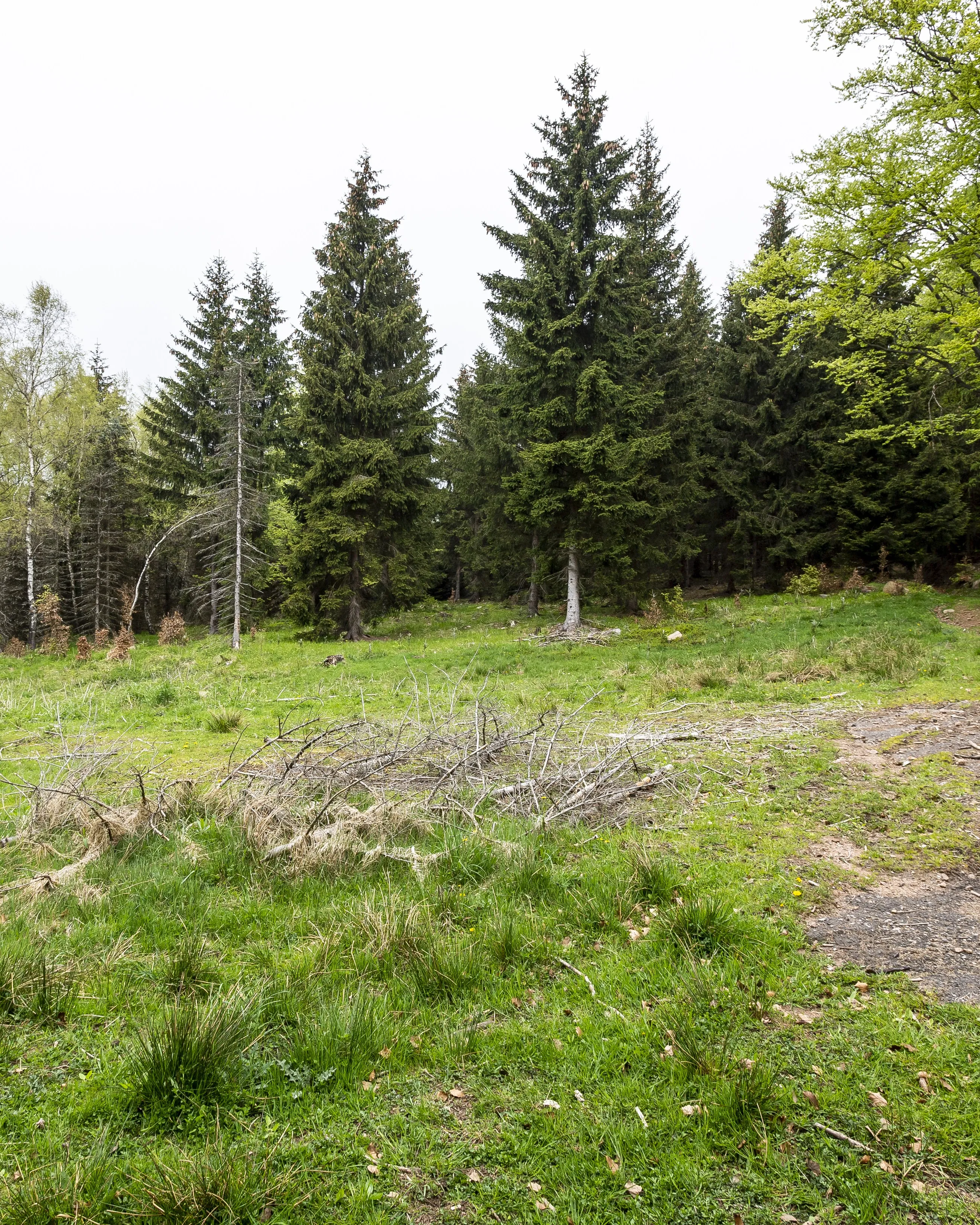 Těžbě lithia na Cínovci nestojí nic v cestě, uvádí studie