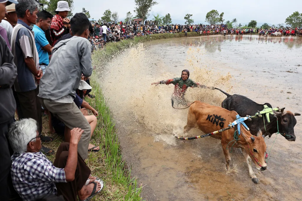 Blátivá trasa závodu má až 250 metrů