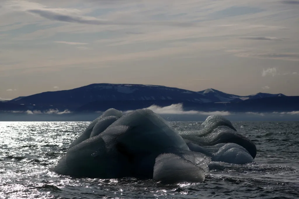 Plovoucí kry nedaleko ledovce Wahlenberg v zemi Oscara II.
