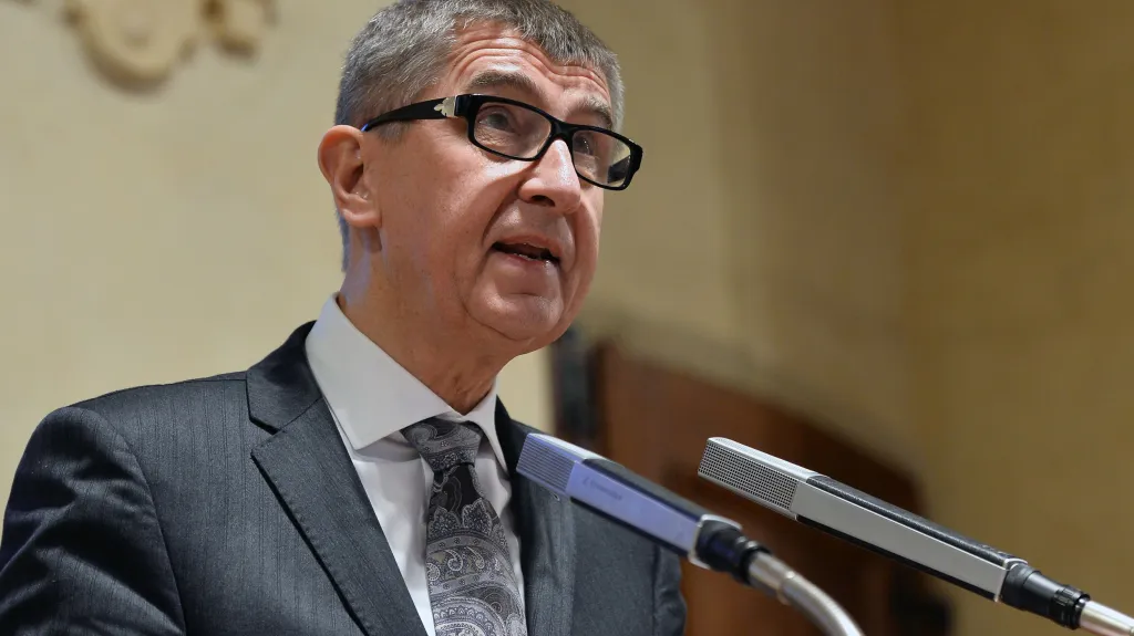 Ministr Andrej Babiš v Senátu