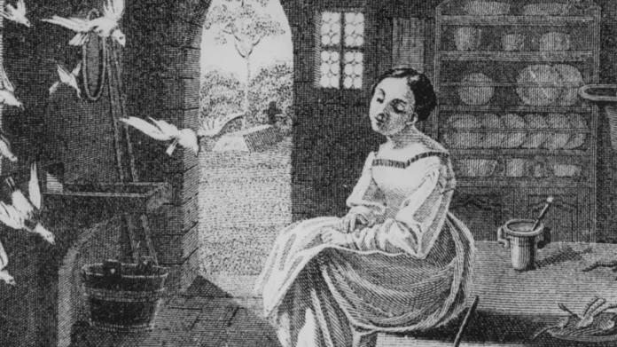 Popelka na ilustraci od Ludwiga Emila Grimma