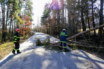Tisíce domácností byly bez elektřiny, silný vítr do Česka dorazí i v neděli