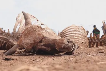 Sucho vyžene z domovů až 216 milionů lidí, varuje Světová banka