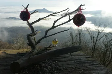Zima je letos nadprůměrně teplá. Změní se to možná až koncem ledna
