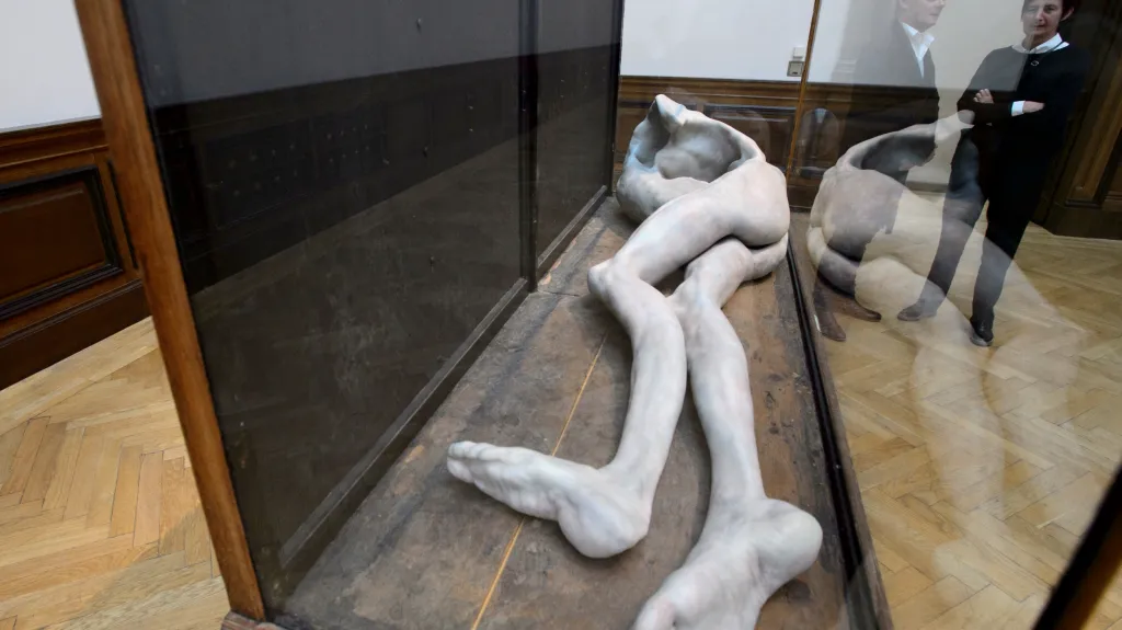 Výstava Flaesh, plastika belgické umělkyně Berlinde De Bruyckereové