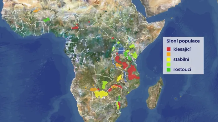 Populace slonů v Africe