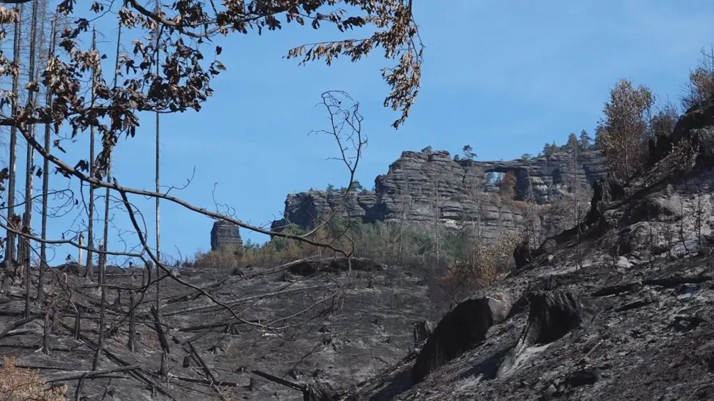 České Švýcarsko po požáru