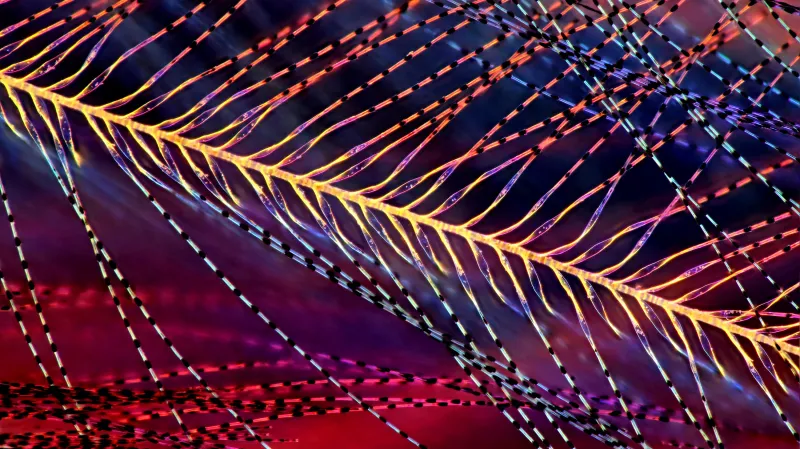 Vítězové fotografické soutěže Nikon Small World 2017