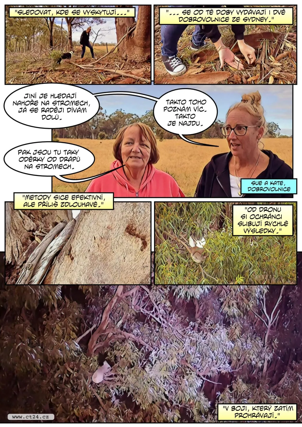 V Austrálii pomáhají se záchranou vymírající populace koalů drony s termovizí