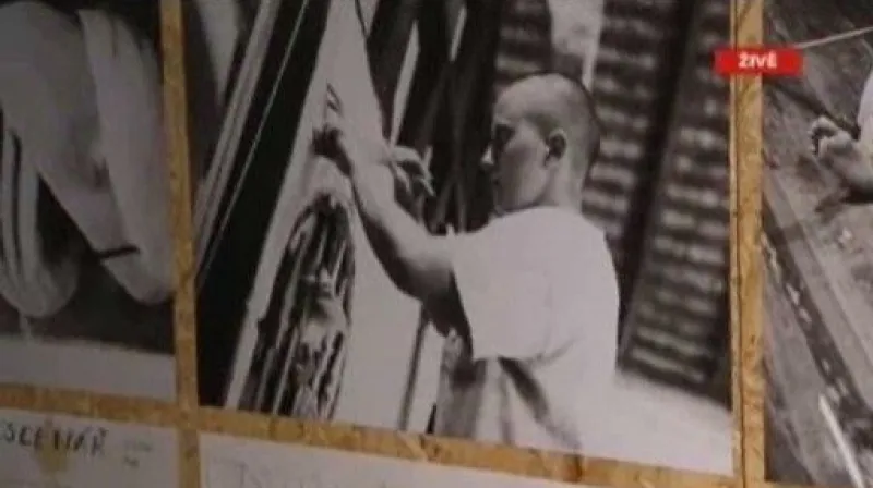 Rozhovor s Denisou Štastnou