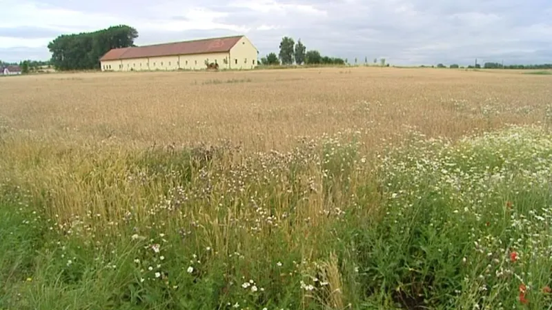 Pozemek firmy Luďka Zahradníka