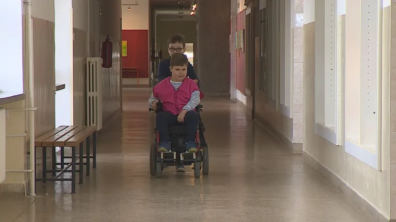 Handicapovaní žáci ve škole