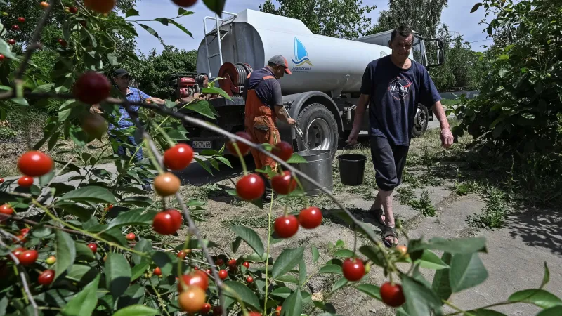 Místa, kde byla před rokem voda Kachovské přehrady, zarůstá zeleň