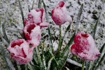 Česko má za sebou další mrazivou noc. Nejchladněji bylo na Kvildě