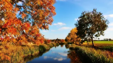 Ilustrační snímek