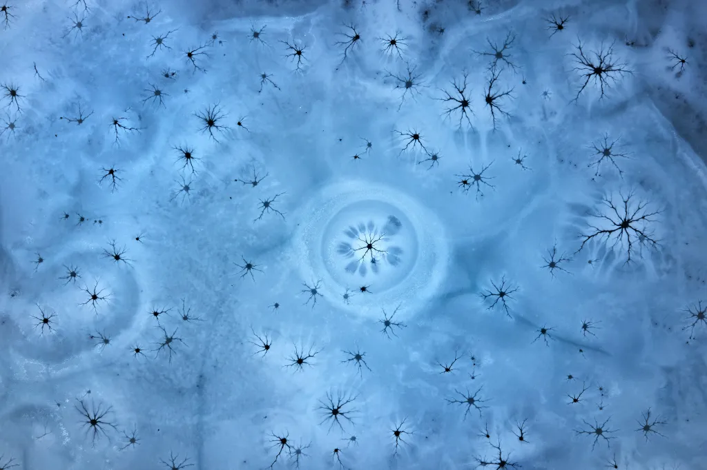 Vítězem v kategorii Krajina / fotograﬁe z dronů se stal Martin Mecnarowski se snímkem nazvaným Zimní tvary