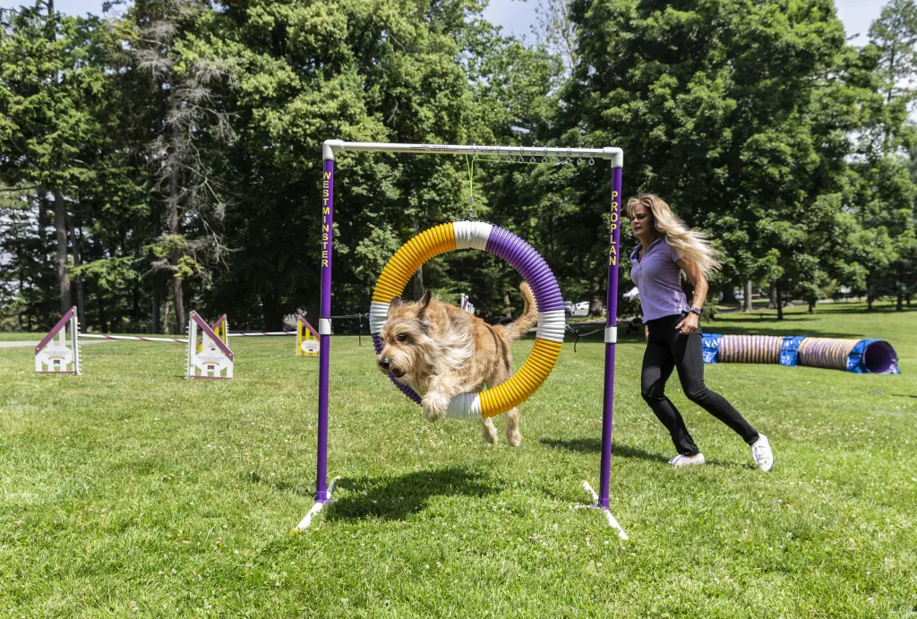 Jedna z nejstarších přehlídek psů na světě pořádaná klubem Westminster Kennel Club Dog našla nové místo v zahradách gotického usedlosti zvané Lyndhurst Mansion