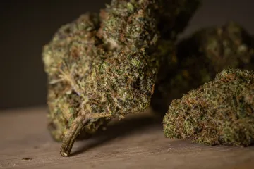 Zákon upraví prodej CBD, HHC či kratomu, avizuje Vobořil