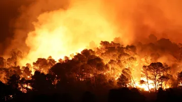 Stromy se ztrácí v rozsáhlém požáru na jihu Francie