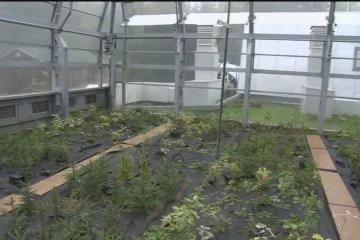 Dvě věže zkoumají les za padesát let. Beskydská stanice sleduje změny klimatu