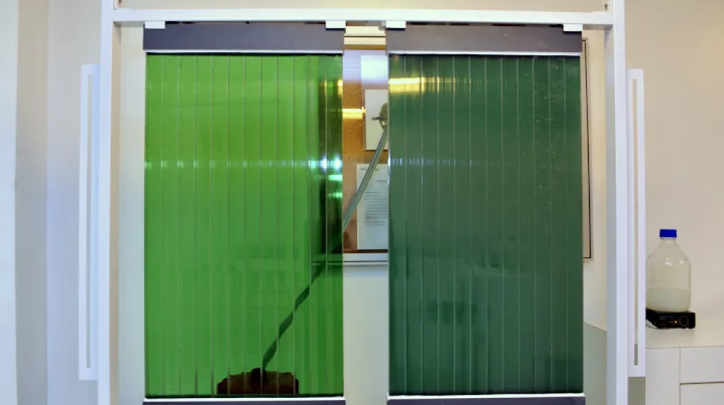 Panely s vodními řasami