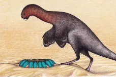 Tunoví dinosauři ve svých hnízdech „seděli“ na vejcích. Jak je možné, že je nerozmačkali?