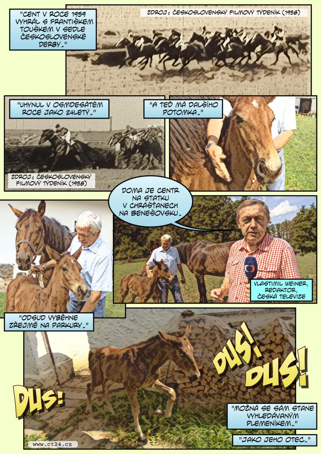 Chovatel koní přivedl na svět hříbě, jehož otec už 40 let nežije. Posunul tím hranice reprodukce