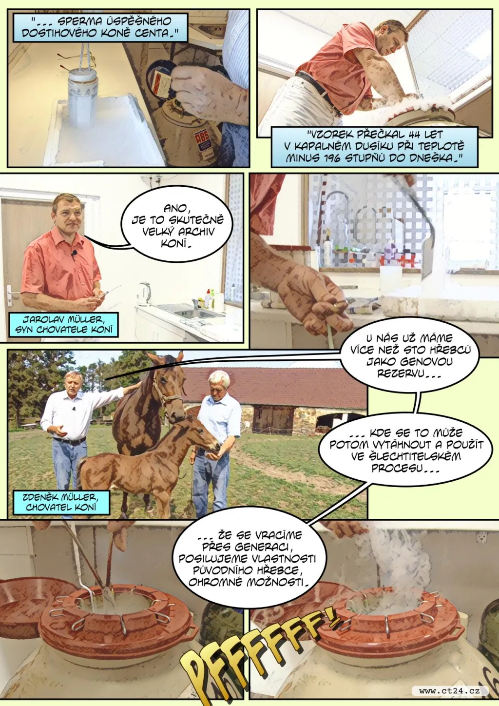 Chovatel koní přivedl na svět hříbě, jehož otec už 40 let nežije. Posunul tím hranice reprodukce