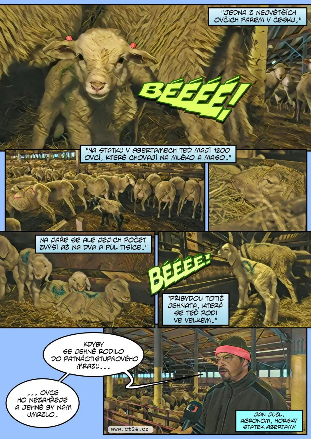 Farmáři chrání zvířata před mrazy