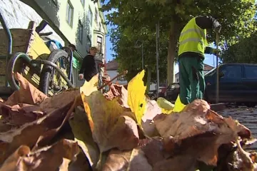 Češi se angažují průměrně 41 hodin ročně