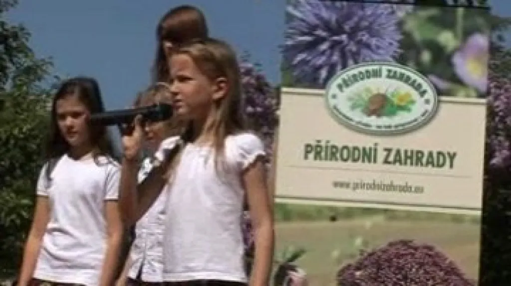 Doprovodný program