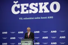 Babiš je znovu předsedou ANO, ve vrcholném vedení je jedno nové jméno