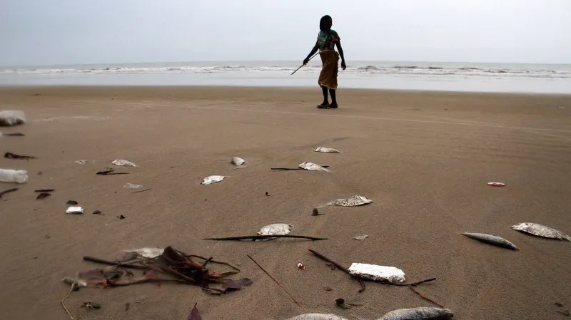 Poničená delta Nigeru