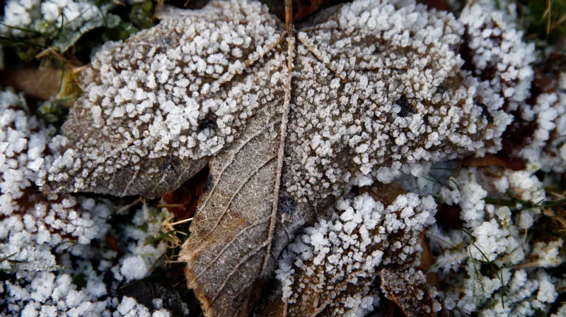Smog a mráz na východě republiky