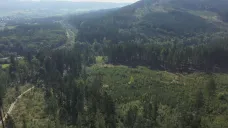Lesy na Jablunkovsku