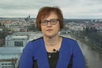 Drahé Česko: Jak se vyvíjí ceny vajec?