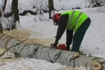 Broumovská Alejka prochází rekonstrukcí