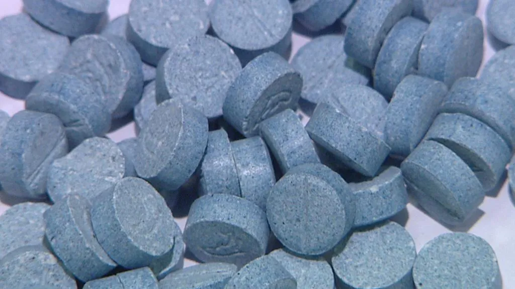 Nebezpečná extáze s delfínem