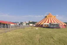 Cirkusům ubývá prostor. Města jim pod vlivem petic přestávají pronajímat své pozemky