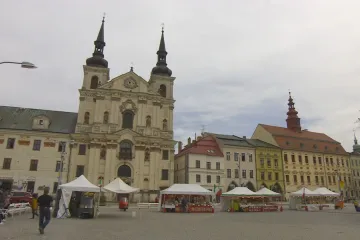 Vítězem voleb v Jihlavě je opět hnutí ANO, posílilo o čtyři mandáty