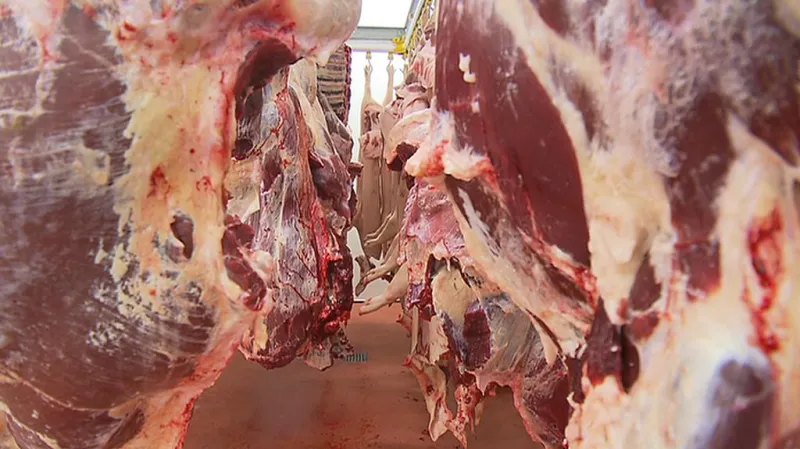 Ilustrační snímek