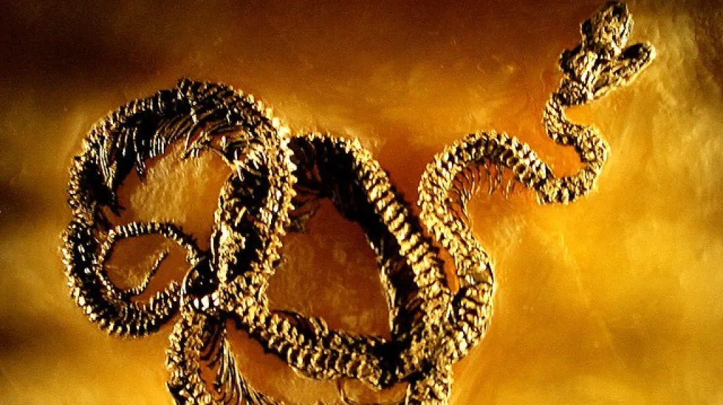 Fosílie z německého Messelu jsou poprvé v Česku