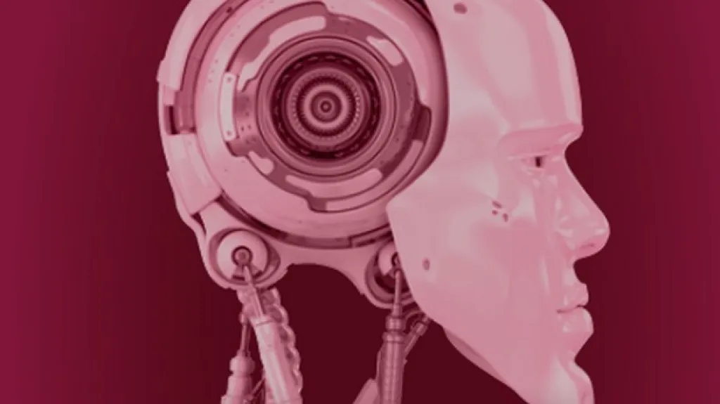 Smetanovské dny 2012