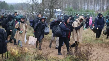 Migranti se shromažďují na polsko-běloruských hranicích. Fotografie ukazují situaci během 8.a 9. listopadu 2021