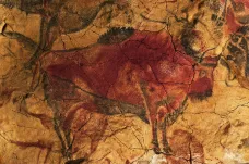 Jeskynní malby vznikaly ve stavu změněného vědomí, ukazuje výzkum. Mozek bez kyslíku byl tvořivý