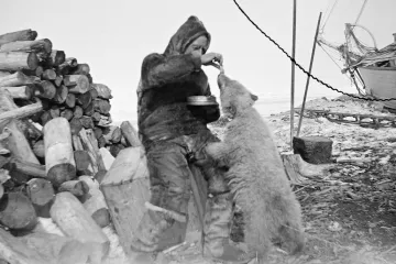 Mistři v osamělosti. Polárníci zvládali několikaletou izolaci na pár metrech čtverečních