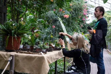 Na výstavě ve sbírkových sklenících v Olomouci jsou stovky orchidejí