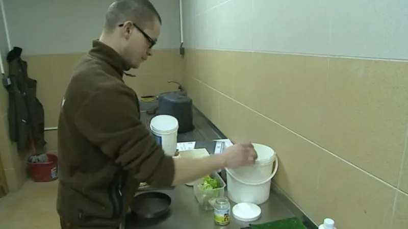 NO COMMENT: Péče o mládě jeřába