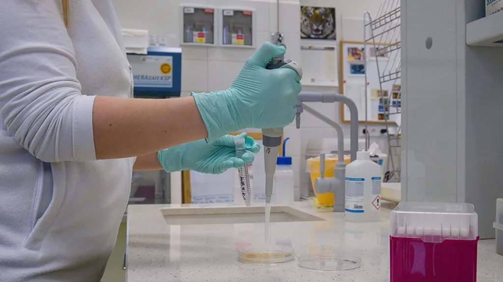 Laboratoř Veterinární a farmaceutické univerzity v Brně