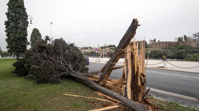 Spadlý strom po vichřici v Římě